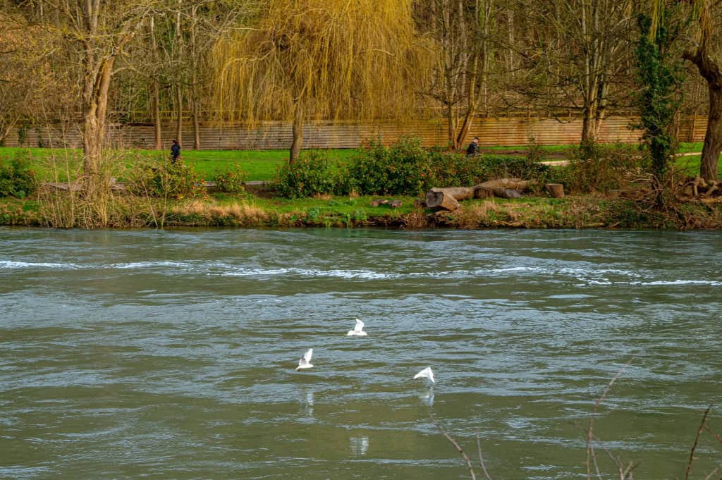 Image 12: Hornby House, Maidenhead, SL6 1NS