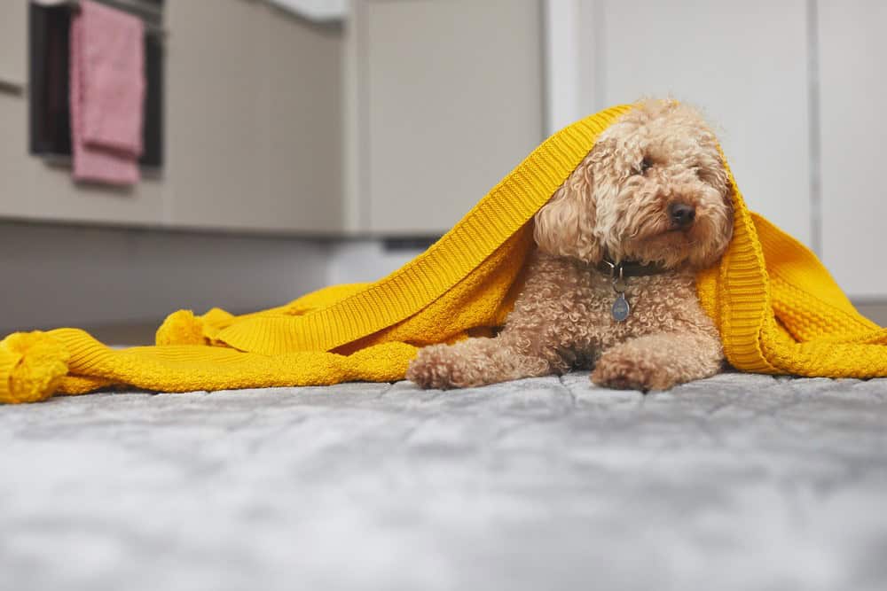 Image 14: Hornby House, Maidenhead, SL6 1NS