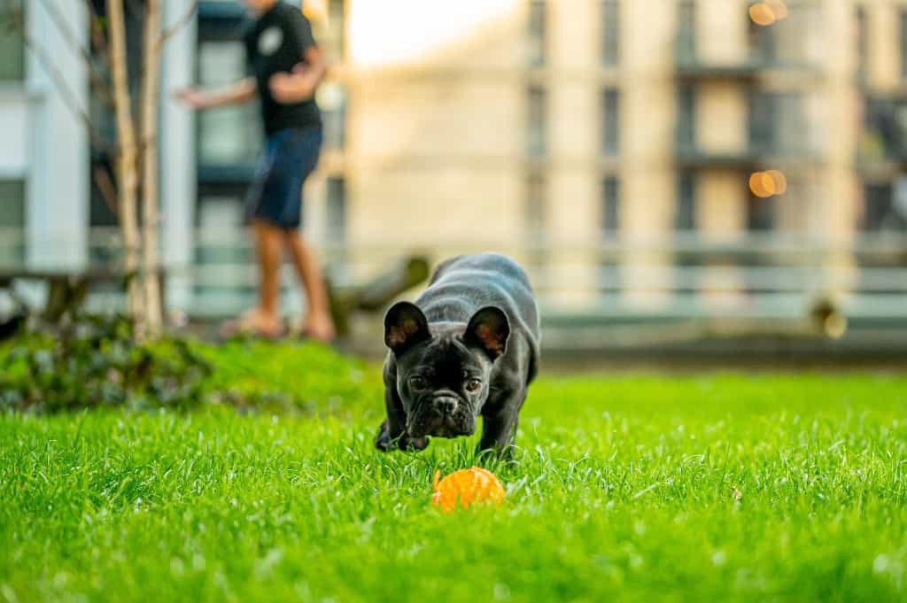 Image 13: Hornby House, Maidenhead, SL6 1NS