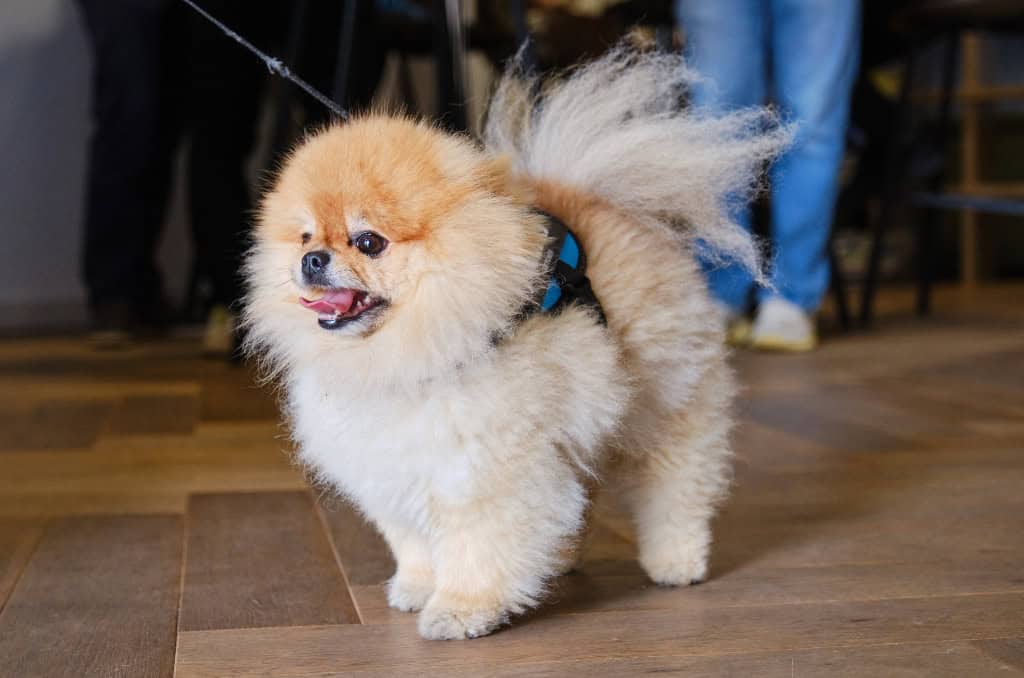 Image 15: Hornby House, Maidenhead, SL6 1NS